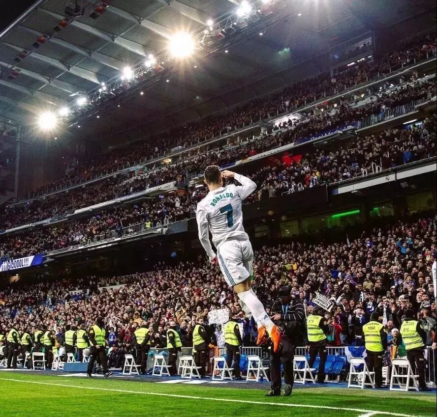 细节如羽片 细节如羽片